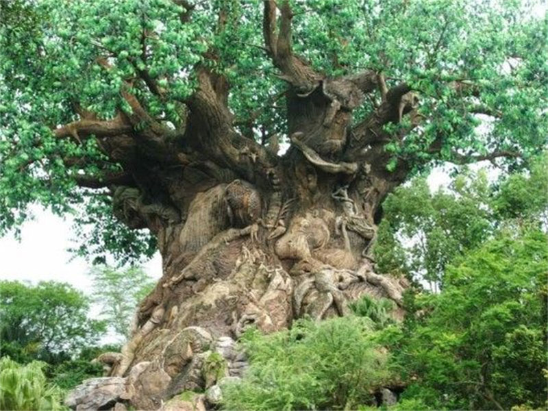 植物樹木